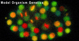 PhD in Genome Sciences - University of Washington